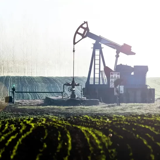 pexels-ywanphoto-255552